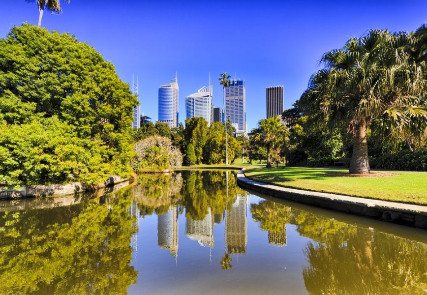 Sydney,City,Royal,Botanic,Garden,Pond,Reflecting,Cbd,Skyscrapers,Surrounded Sydney,City,Royal,Botanic,Garden,Pond,Reflecting,Cbd,Skyscrapers,Surrounded